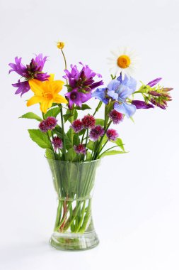 farklı vahşi alan ve Bahçe çiçek bir buket: papatya, çan, lily, frenk soğanı, Iris