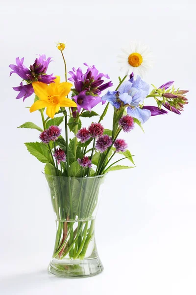 farklı vahşi alan ve Bahçe çiçek bir buket: papatya, çan, lily, frenk soğanı, Iris