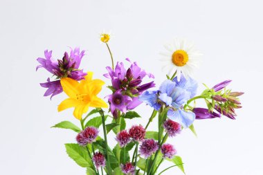 farklı vahşi alan ve Bahçe çiçek bir buket: papatya, çan, lily, frenk soğanı, Iris