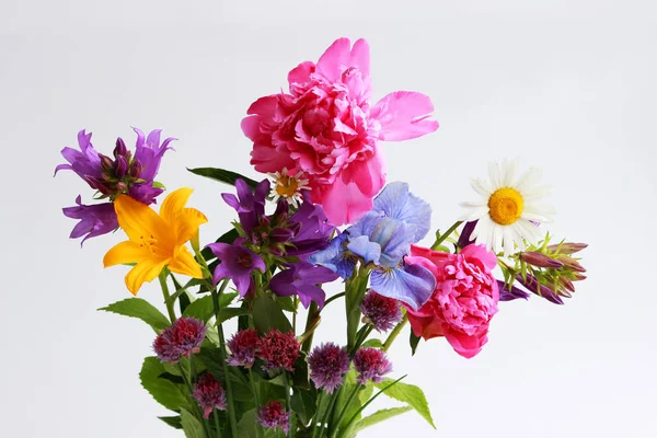 Bukett Olika Vilda Fältet Och Trädgård Blommor Kamomill Bell Lily — Stockfoto
