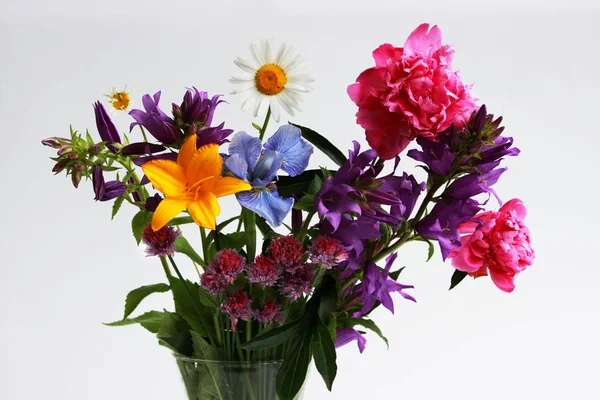 Egy Csokor Különböző Vadon Élő Kerti Virágok Kamilla Bell Liliom — Stock Fotó