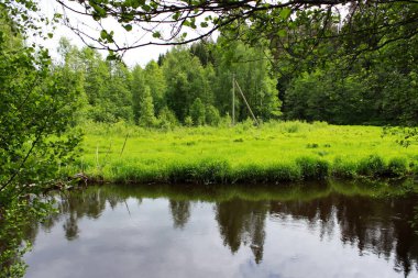 Bir Barajı hidroelektrik santrali önünde kıyısında sulu yeşil çim saz büyür