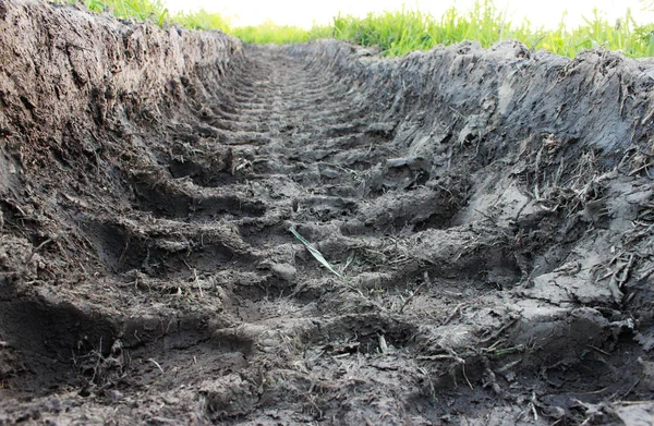 Traces of heavy machinery tractor in the sand on the summer lush green grass. — Stock Photo, Image