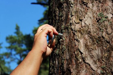 bir adam bir kişi sabitleme ve kırbaçlama için çam bir yüzük sabitleştirir. Sadomasochism kavramı, röportaj fotoğrafçılığı