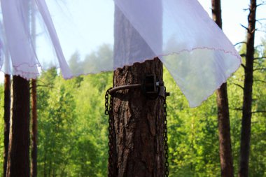 Metal paslı zincir kişi için çam özel bir inşaat ile sabit ve doğada BDSM pratik ve beyaz bir kadın soyunma elbisesi ağaçlar arasında gergin bir zincir üzerinde kurur. röportaj çekim