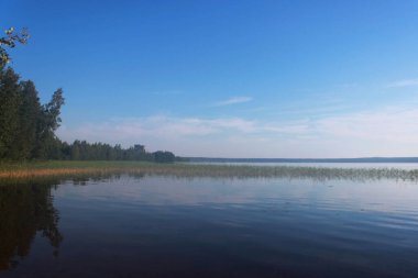Beyaz bulutlar sudaki yansıması ile yaz aylarında göl Vysokinskoye. Leningrad Region, Rusya Federasyonu
