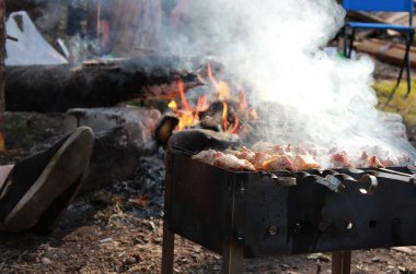 et şiş kebap ormana doğanın dışında yer alan açık havada yemek. Rusya, yaz.