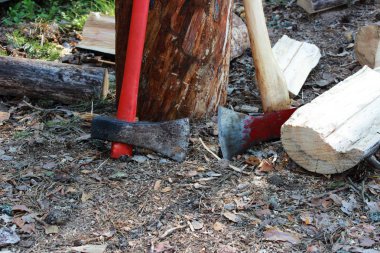 kırmızı saplı büyük eksen karşı ahşap kütük eğilerek orman duruyor. için pişirme yakacak odun