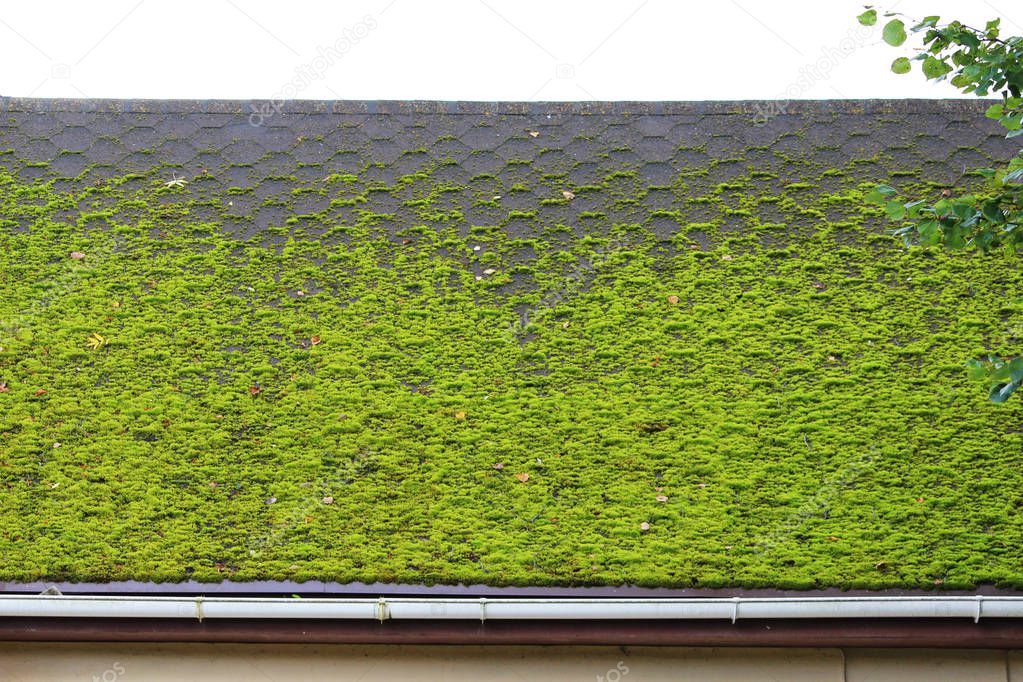 brown flexible tile on the roof of the house, beautifully overgrown with green moss. Soft roof, roof tiles. Flexible shingles. Roof tiling texture. Flexible, soft, bituminous, composite.