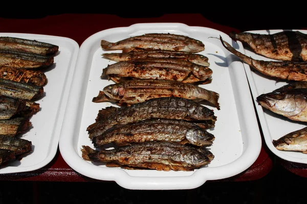 Σύνολο ψάρια ψητά στην σχάρα και σουβλάκια, μαγειρεμένα εξ ολοκλήρου σε ένα ανοικτό φωτιά ψέμα σε λευκό δίσκους για το ανάχωμα κοντά στη Μαύρη θάλασσα στη σχάρα. Ρεπορτάζ γυρίσματα. Δημοκρατίας της Κριμαίας — Φωτογραφία Αρχείου