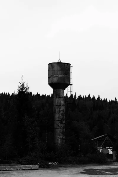 Lesa Stojí Stará Zrezivělá Vodní Věž Schodištěm Černá Bílá Svislá — Stock fotografie