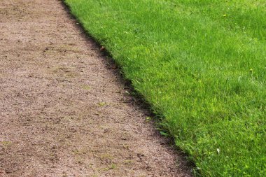 bir yol çakıl ve kırpılmış yeşil çim Gatchina parkta çim