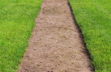 bir yol çakıl ve kırpılmış yeşil çim Gatchina parkta çim