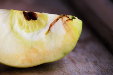 Izlemeyi Apple apple solucanlar. apple tarafından bir çürüyen deride kahverengi çürüklüğü Monilia fructigena kalıp enfeksiyon kaynağı