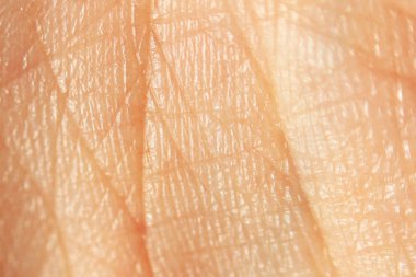 İnsan eli geri hayat çizgisi ile makro deri