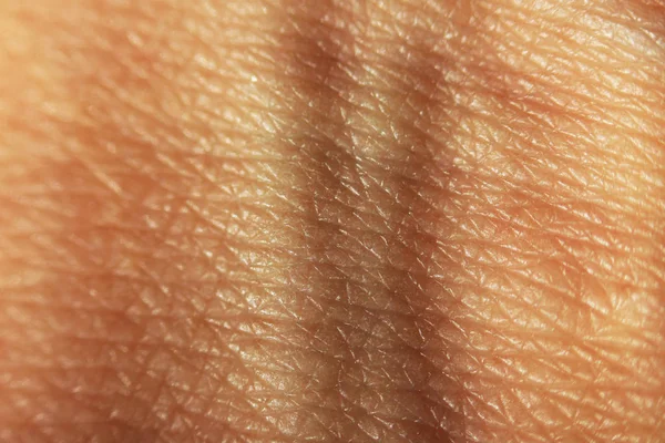 Makro kůže lidské ruky se dvěma podkožní žílami na zápěstí — Stock fotografie