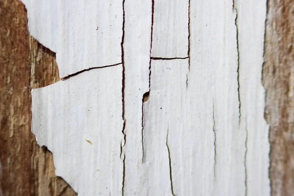 Старая белая шелушащаяся краска на деревянной оконной раме, макро — стоковое фото