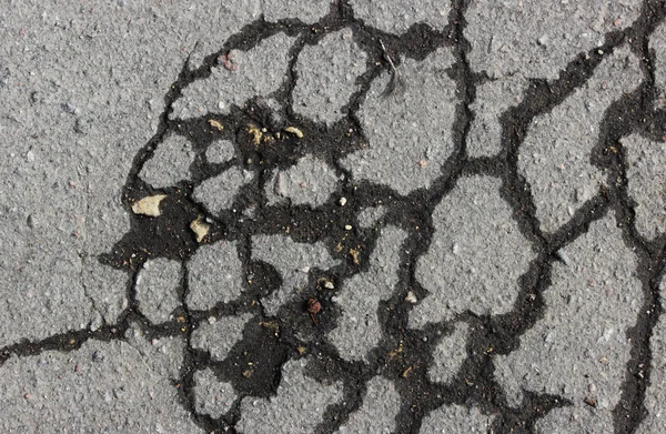 Szary asfalt z pęknięcia, mokre od deszczu jesienią. — Zdjęcie stockowe