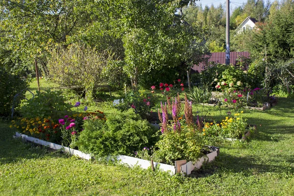 Cenário Área Paisagismo Modesto Grama Flores Jardim Casa Campo Verão — Fotografia de Stock