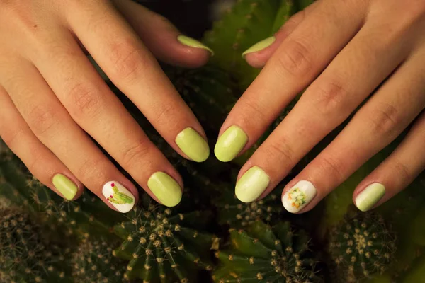 Classic gesneden manicure met gel lak, kleurovergang en gestileerde stickers met cactussen. Stijlvol trendy vrouwelijke manicure. Pot met groene cactus plant in de buurt van mooie dames handen. Kunst Manicure. Multi-gekleurde — Stockfoto