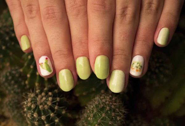 Manucure coupe classique avec gel poli, dégradé et autocollants stylisés avec cactus. Manucure féminine tendance et élégante. Pot avec plante de cactus vert près de belles mains de femmes. Art Manucure. Multicolore — Photo