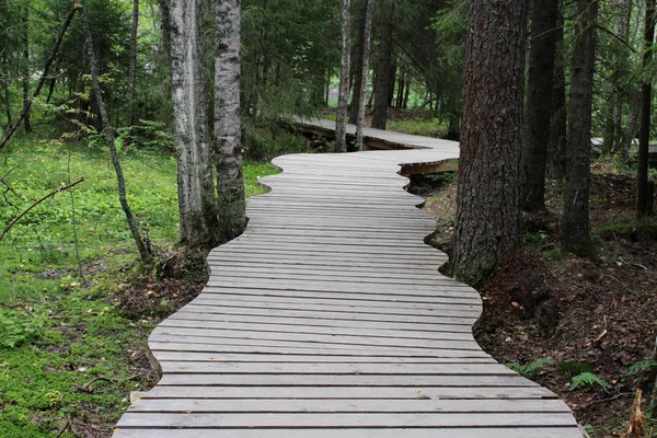 木製パターンの歩道橋は大理石の峡谷の近くの森で作られたボードに成っています。カレリアでは、Ruskeala — ストック写真