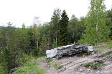 Heykel, tehlikeli bir uçuruma giden yolu tıkayan ruhun kişileştirilmesi. Büyük bir mermer parçasından oyulmuş ve mermer kanyonun yanında yatıyor, Karelia..