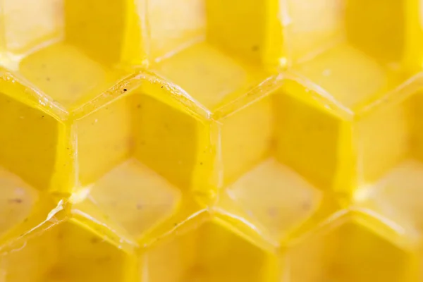 La base desde la que se tuerce la vela ecológica. la plancha delgada ondulada de la cera, que se pone en el panal. macro —  Fotos de Stock