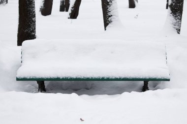 Kar yağışı ve kar yağışı olan kış manzarası. Gatchina Parkı 'nda kar temizleme. karla kaplı bank