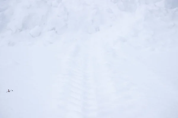降雪后的冬季风景 拖拉机轨道和雪地 加泰利公园的除雪工程 — 图库照片