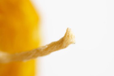 hangi çevre dostu mum bükülmüş Vakfı. ince oluklu plaka balmumundan bir petek koymak. Makro