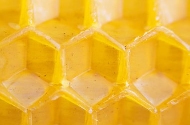 hangi çevre dostu mum bükülmüş Vakfı. ince oluklu plaka balmumundan bir petek koymak. Makro