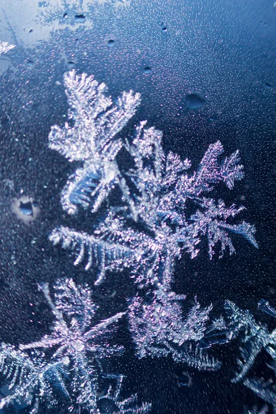 Patrón de invierno natural escarchado en la ventana de vidrio congelado en forma de ramita. fondo azul — Foto de Stock