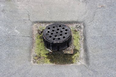 Korunaklı, delikli ve yaprak dökümlü su borusu. Çok katlı bir binanın çatısındaki yağmur suyu drenajı çatı keçesiyle kaplı..