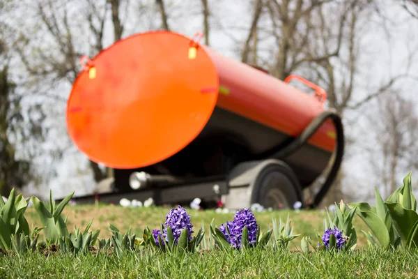 a large orange barrel of water stands on a multi-tiered flower hill in Gatchina Park for watering hyacinths and daffodils