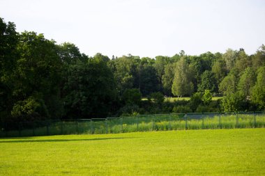 Gatchina Park, Rusya 'da pürüzsüz yeşil çayır. Yaz.