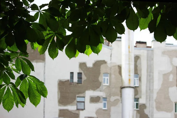 Old historic house in the city of St. Petersburg with a lot of patches of gray. Shades of Grey. concept restoration. — Stock Photo, Image