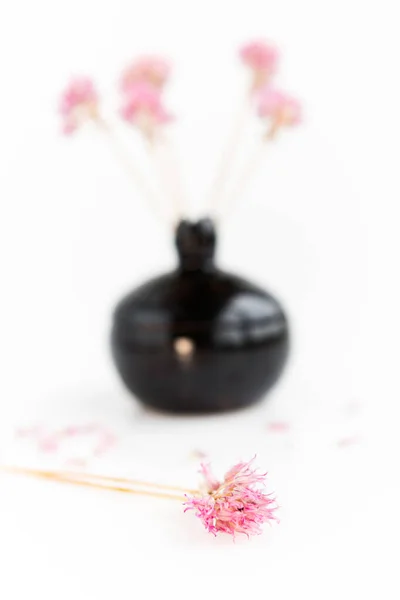 白色背景上的黑色粘土石榴。 原来的花瓶是石榴形的。 开紫花的干洋葱 — 图库照片