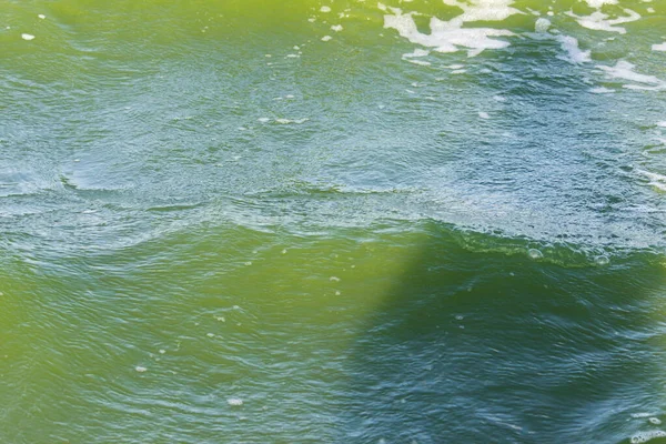 Зелена вода в морській лагуні. Лагуна це затока, відокремлена від моря. колір води обумовлений спеціальною мікрофлорою — стокове фото