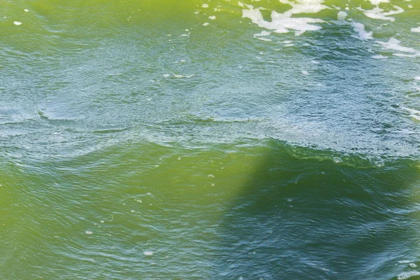 Green water in the sea lagoon. the lagoon is a bay separated from the sea. the color of water is due to special microflora — 스톡 사진