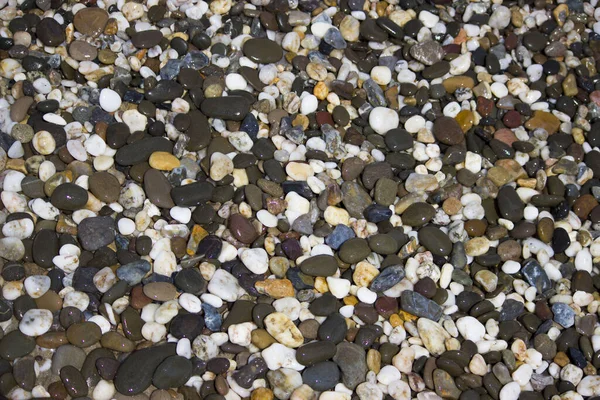 Fondo Guijarros Húmedos Costa Guijarros Junto Mar Verano Sur Rusia —  Fotos de Stock