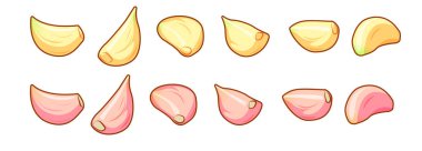 Beyaz arka plan üzerinde izole soyulmuş ve soyulmamış çiğ sarımsak karanfil kümesi.