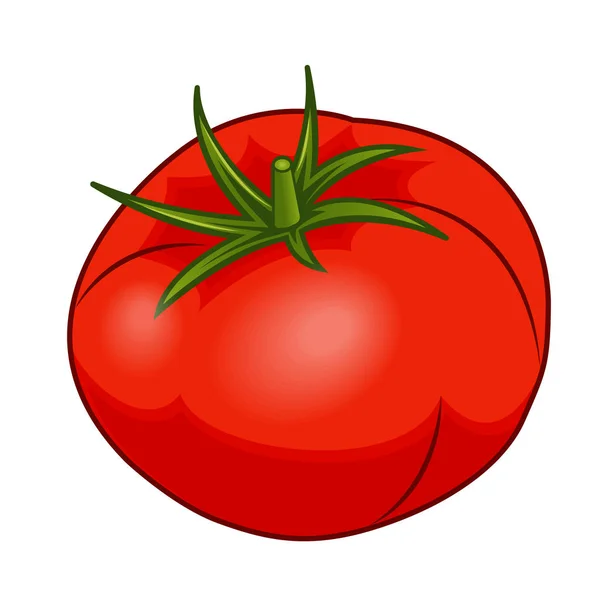 Tomat Merah Segar Dengan Telapak Hijau Terisolasi Di Latar Belakang Putih - Stok Vektor