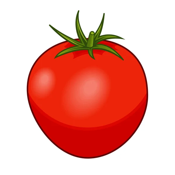 Tomate rojo fresco con tallo verde aislado sobre fondo blanco — Vector de stock