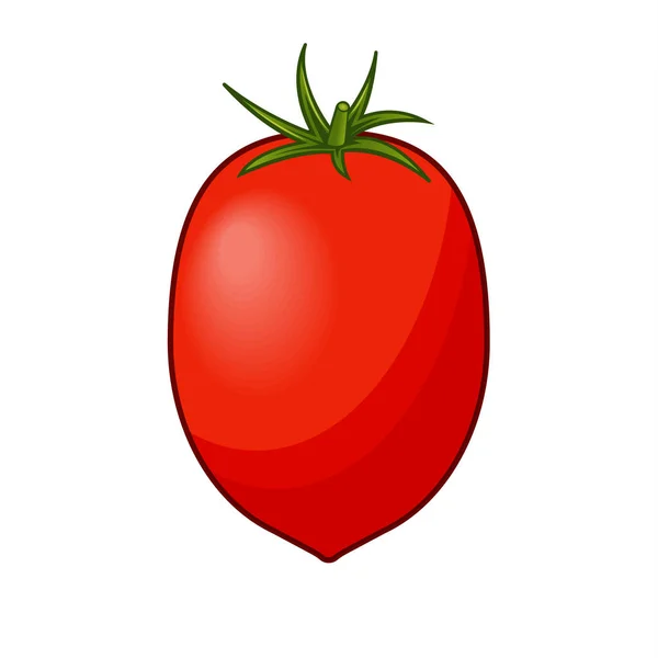 Frische rote Tomate mit grünem Stiel isoliert auf weißem Hintergrund — Stockvektor