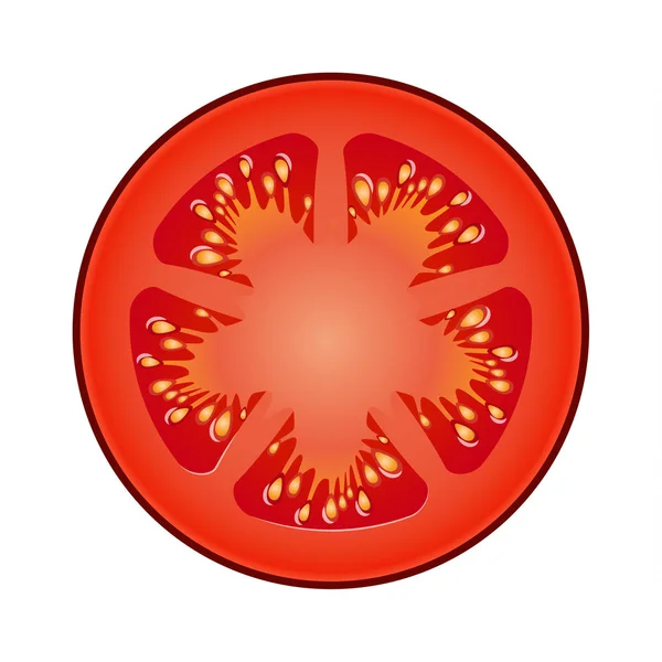 Plátek čerstvé červené rajče izolovaných na bílém pozadí — Stockový vektor