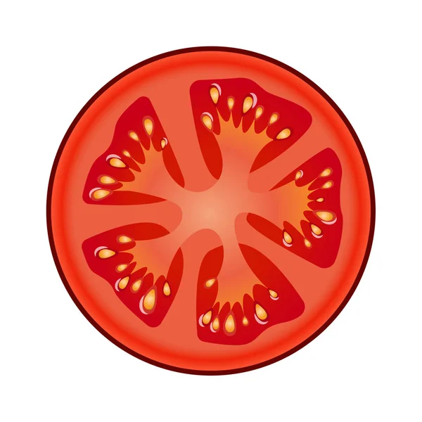 Frische rote Tomatenscheibe isoliert auf weißem Hintergrund — Stockvektor