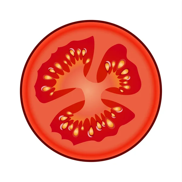흰색 배경에 고립 된 신선한 빨간 토마토 슬라이스 — 스톡 벡터