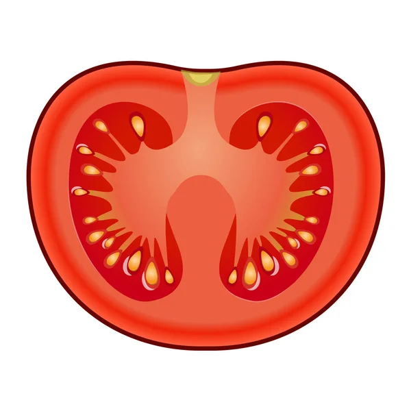 Rebanada de tomate rojo fresco aislado sobre fondo blanco — Vector de stock