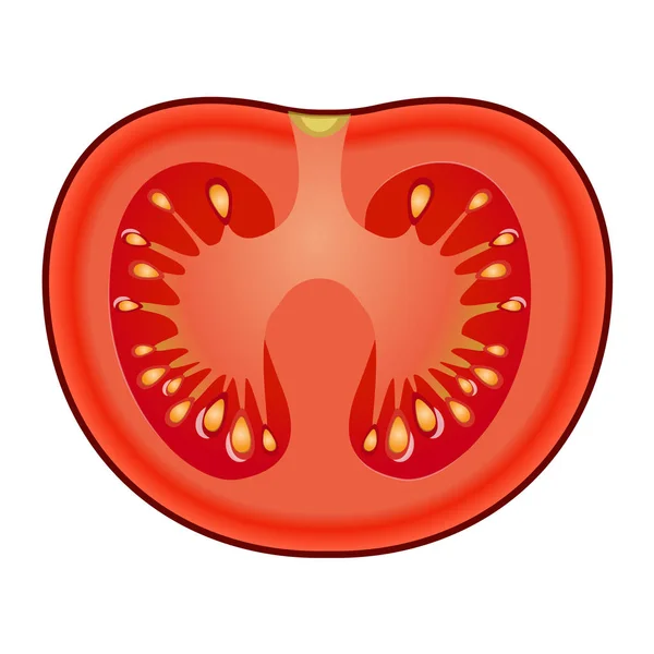 Fresh red tomato slice isolated on white background — Stock Vector